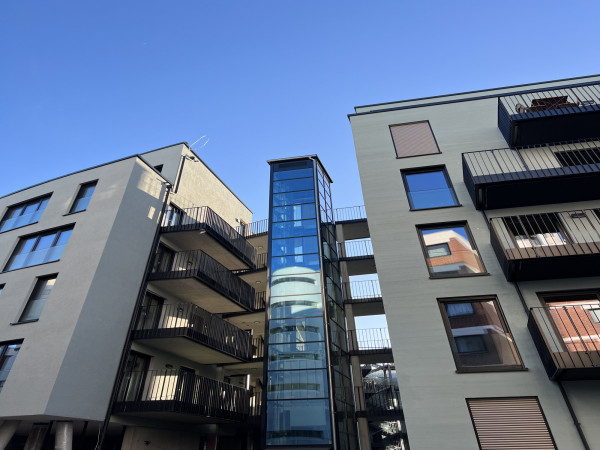 Samen Hahn - studioaw