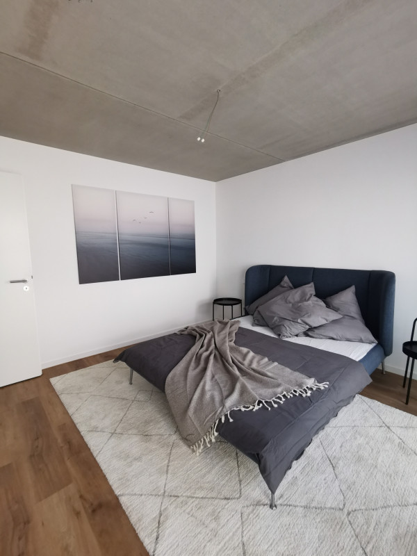 Samen Hahn - studioaw