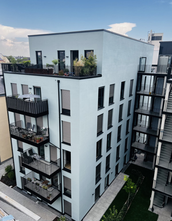 Samen Hahn - studioaw