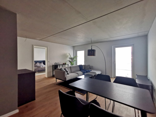 Samen Hahn - studioaw