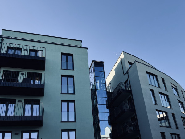 Samen Hahn - studioaw